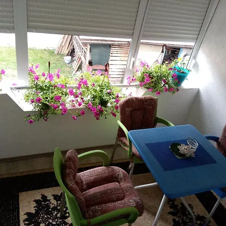 B&B Rzav Centar 4*